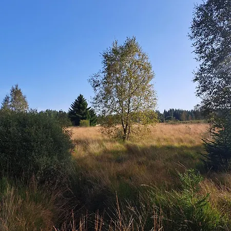 Androla Am Vennbahnradweg *