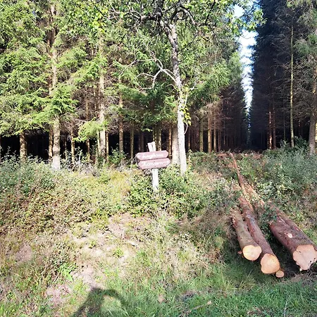 Androla Am Vennbahnradweg Apartamento Monschau
